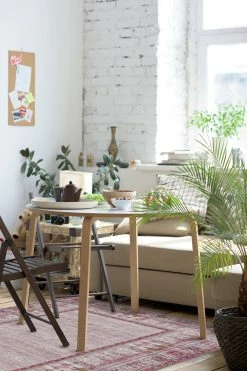 Top 10 ✔️ Ruggable Vintage Daisy Bordered Fuchsia Rug 💯 -Outdoor Rugs Store Vintage Daisy Bordered Fucshia C RC RE131 57 Washable Rug Shabby Chic