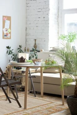 Cheapest 👍 Ruggable Vintage Daisy Bordered Tangerine Rug 🎉 -Outdoor Rugs Store Vintage Daisy Bordered Tangerine C RC RE130 57 Washable Rug Retro