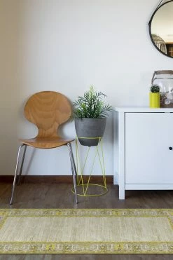 Budget ❤️ Ruggable Vintage Daisy Bordered Yellow Rug 🔔 -Outdoor Rugs Store Vintage Daisy Bordered Yellow C RC RE129 27 Washable Rug Floral