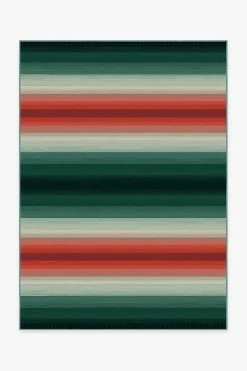 Best reviews of ⭐ Ruggable University of Miami Ombre Stripe Rug 🛒